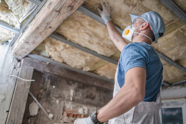 Best Energy Efficiency Solutions in Forest Lake, IL